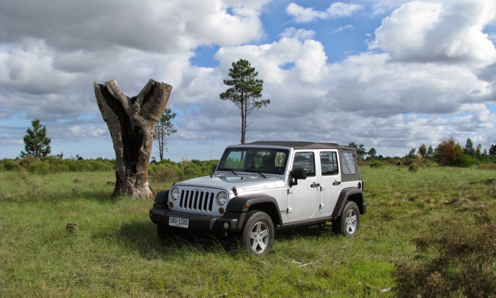 Ficha técnica Jeep Wrangler Rubicon Motorsports