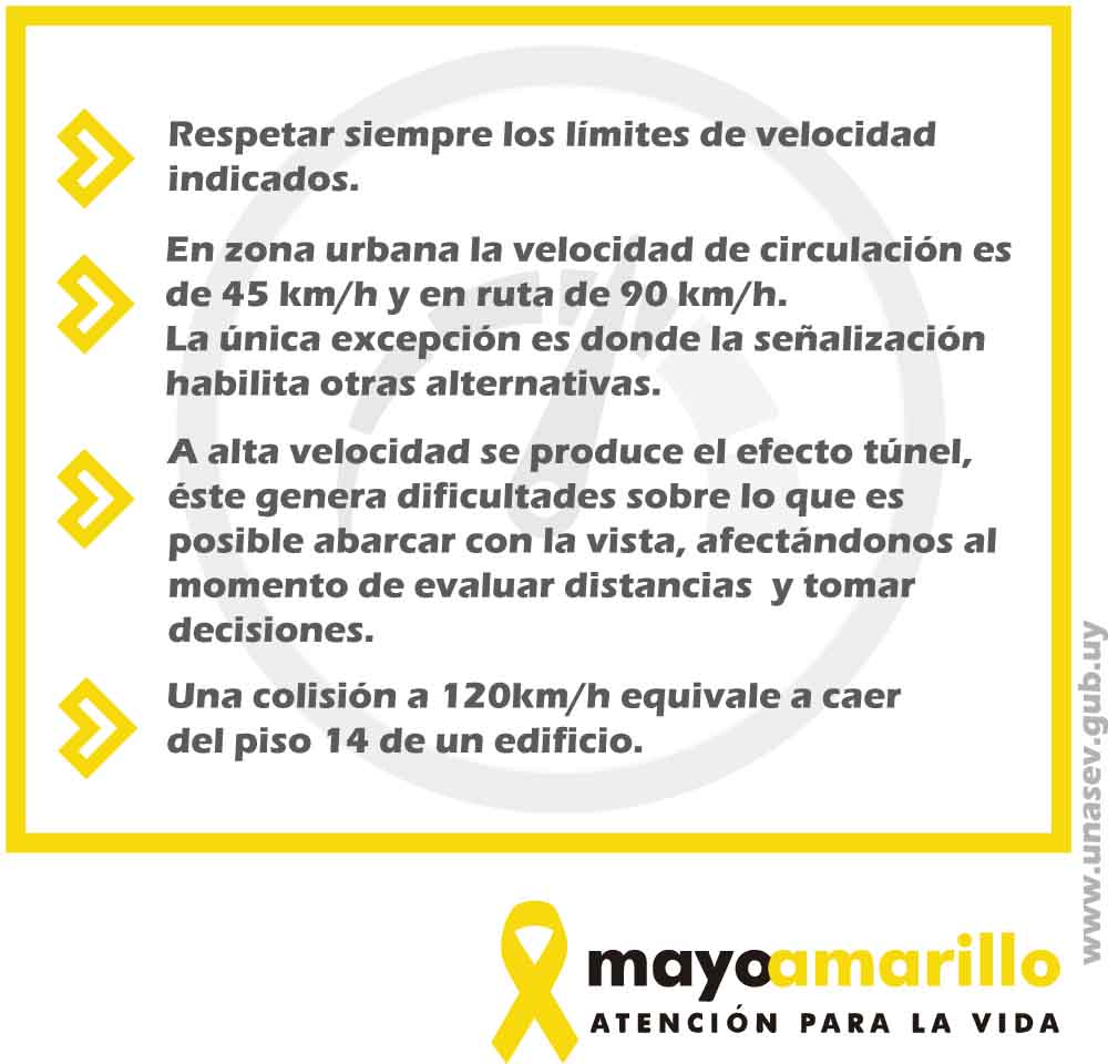 MayoAmarillos01